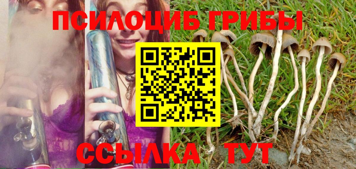 Галлюциногенные грибы мицелий Кыштым