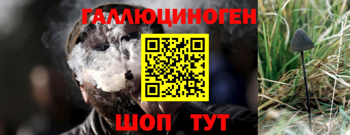 как найти закладки  Вход с VPN  Кыштым  Псилоцибиновые грибы MAGIC MUSHROOMS 